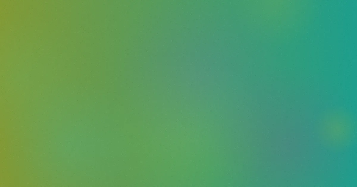 昼夜推荐：新手看片入门